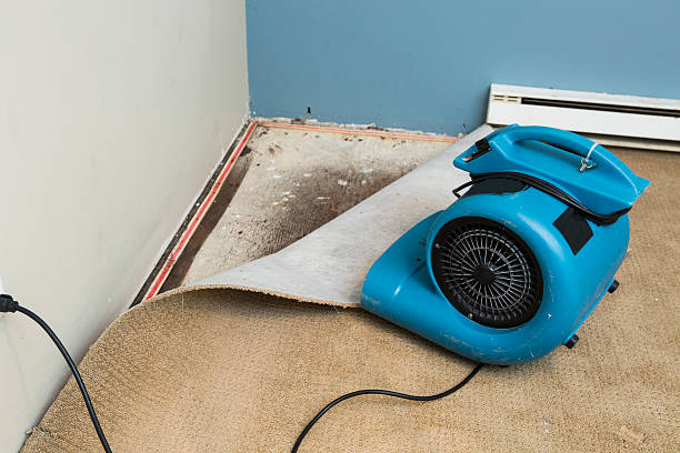 Best Flood damage cleanup  in Vineyard Haven, MA