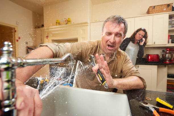 Best Water damage cleanup near me  in Vineyard Haven, MA